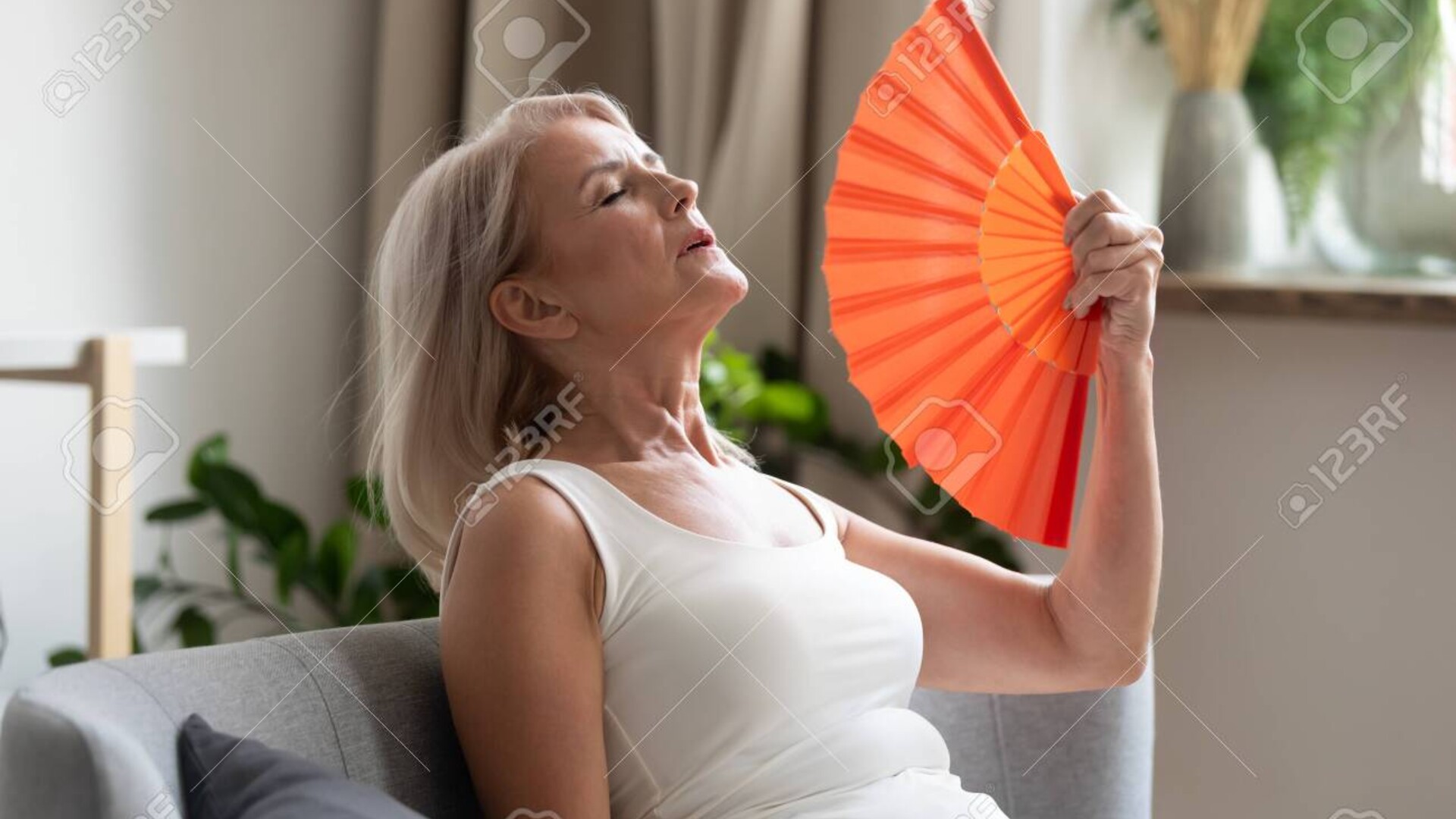 Hot Flashes during menopause